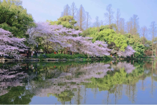 2024苏杭旅游：听了苏州本地人的建议，苏杭旅行真没踩雷！