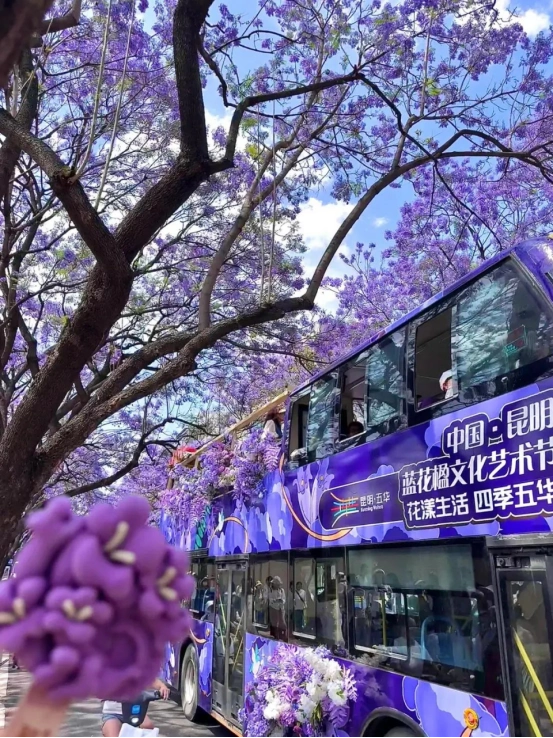 2025年云南超全旅游攻略，看这一篇就够了