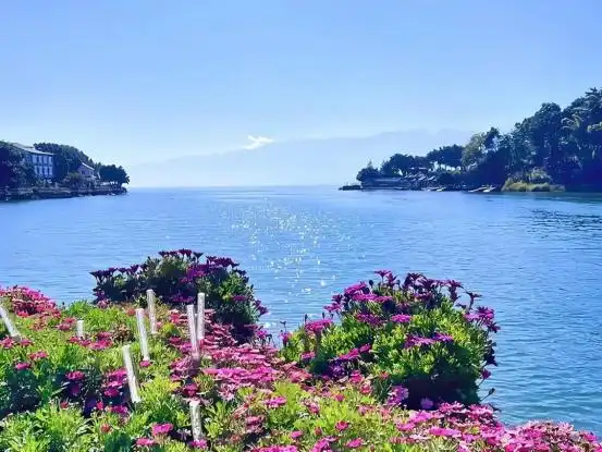 2025年云南超全旅游攻略，看这一篇就够了