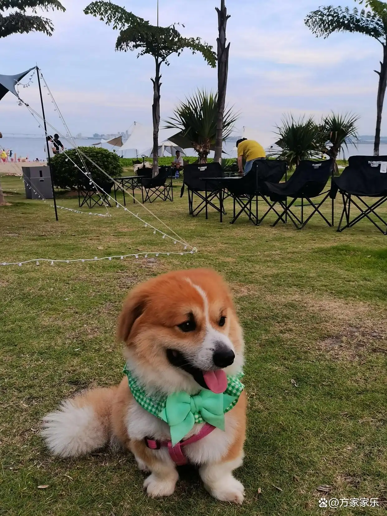 和老伴去福建厦门住了一个月，我实话实说：跟我想的确实不太一样