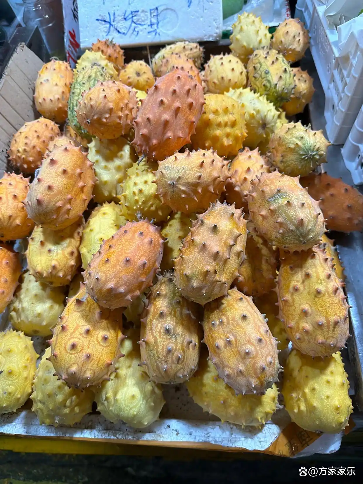 和老伴去福建厦门住了一个月，我实话实说：跟我想的确实不太一样