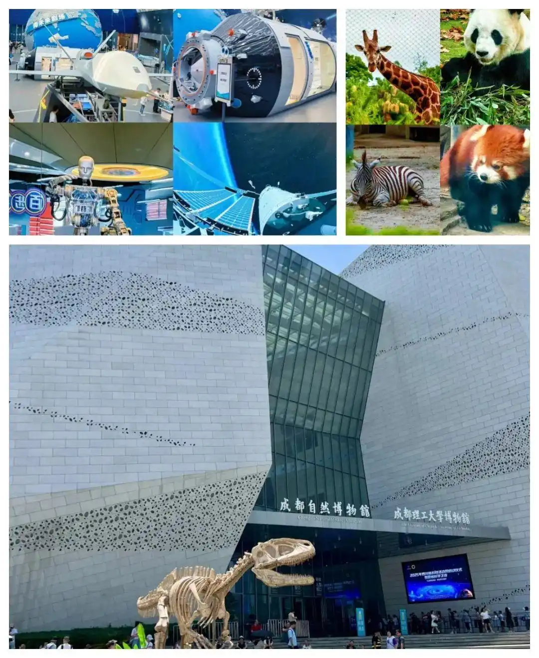 成都旅游攻略！附本地人私藏攻略，看完立刻想出发