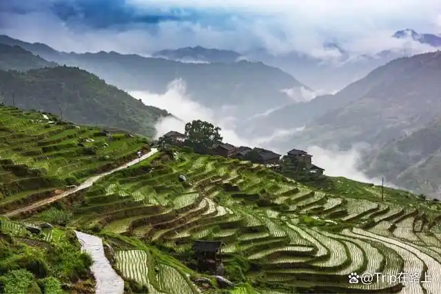 浙江这座旅游机场将开通，这个富有诗意的避世小城，终于藏不住了
