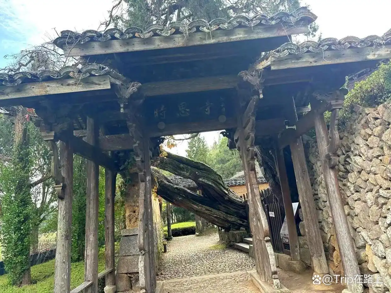 浙江这座旅游机场将开通，这个富有诗意的避世小城，终于藏不住了