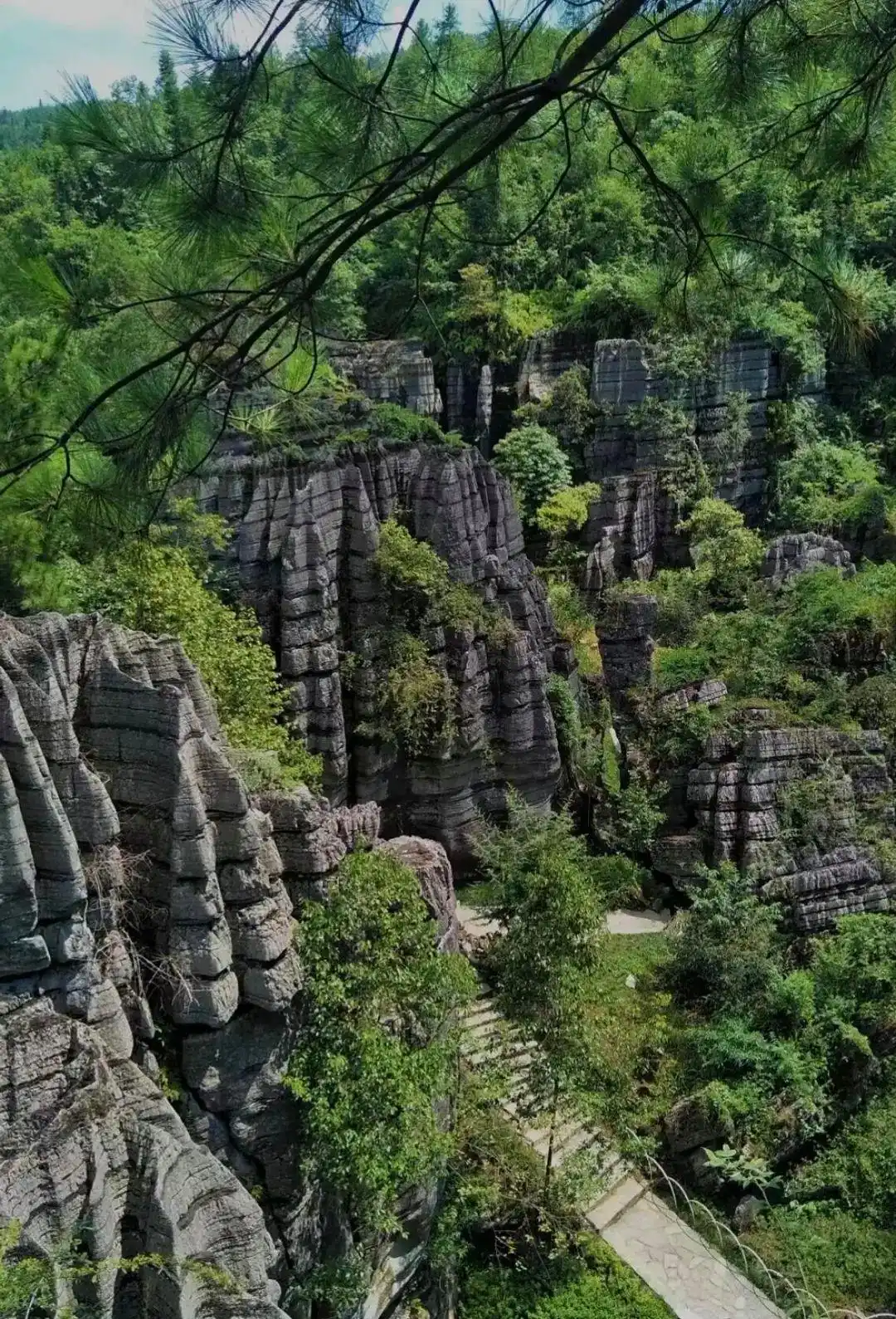 恩施7-8月旅行｜照搬这份攻略不踩雷！恩施盛夏玩法路线+避坑指南