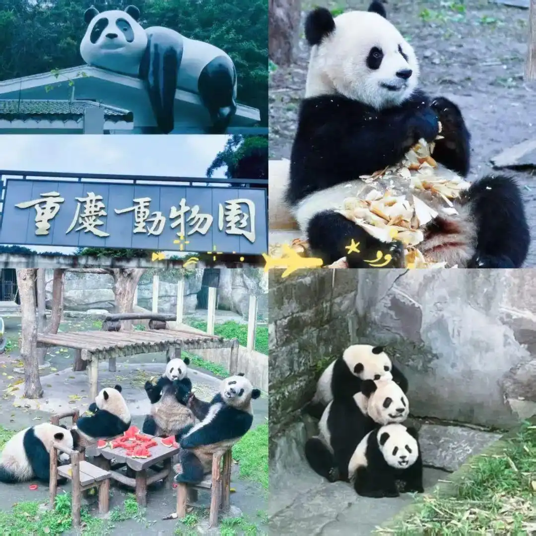 2025 暑期重庆旅游的 8大景点推荐！第一次去重庆超详细实用攻略