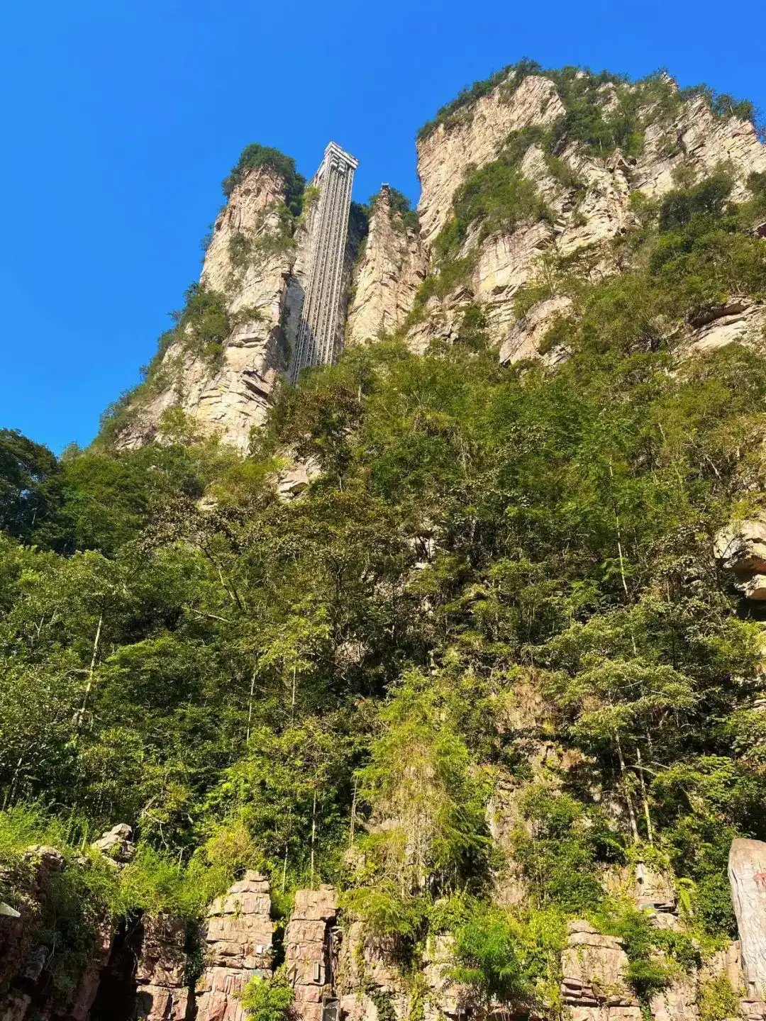 保姆级攻略！7-8月张家界旅游，必去景点推荐，第一次去也不迷路