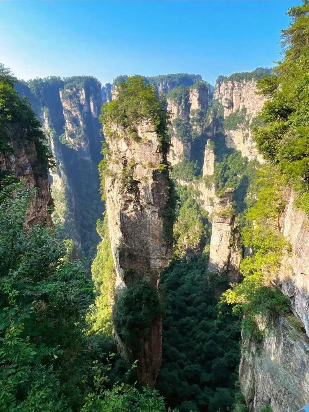 保姆级攻略！7-8月张家界旅游，必去景点推荐，第一次去也不迷路