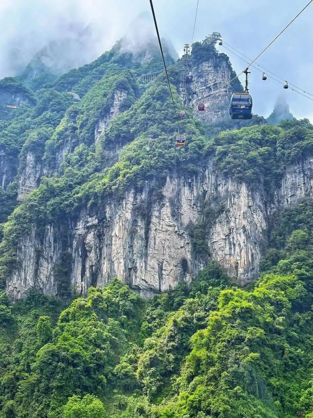 保姆级攻略！7-8月张家界旅游，必去景点推荐，第一次去也不迷路