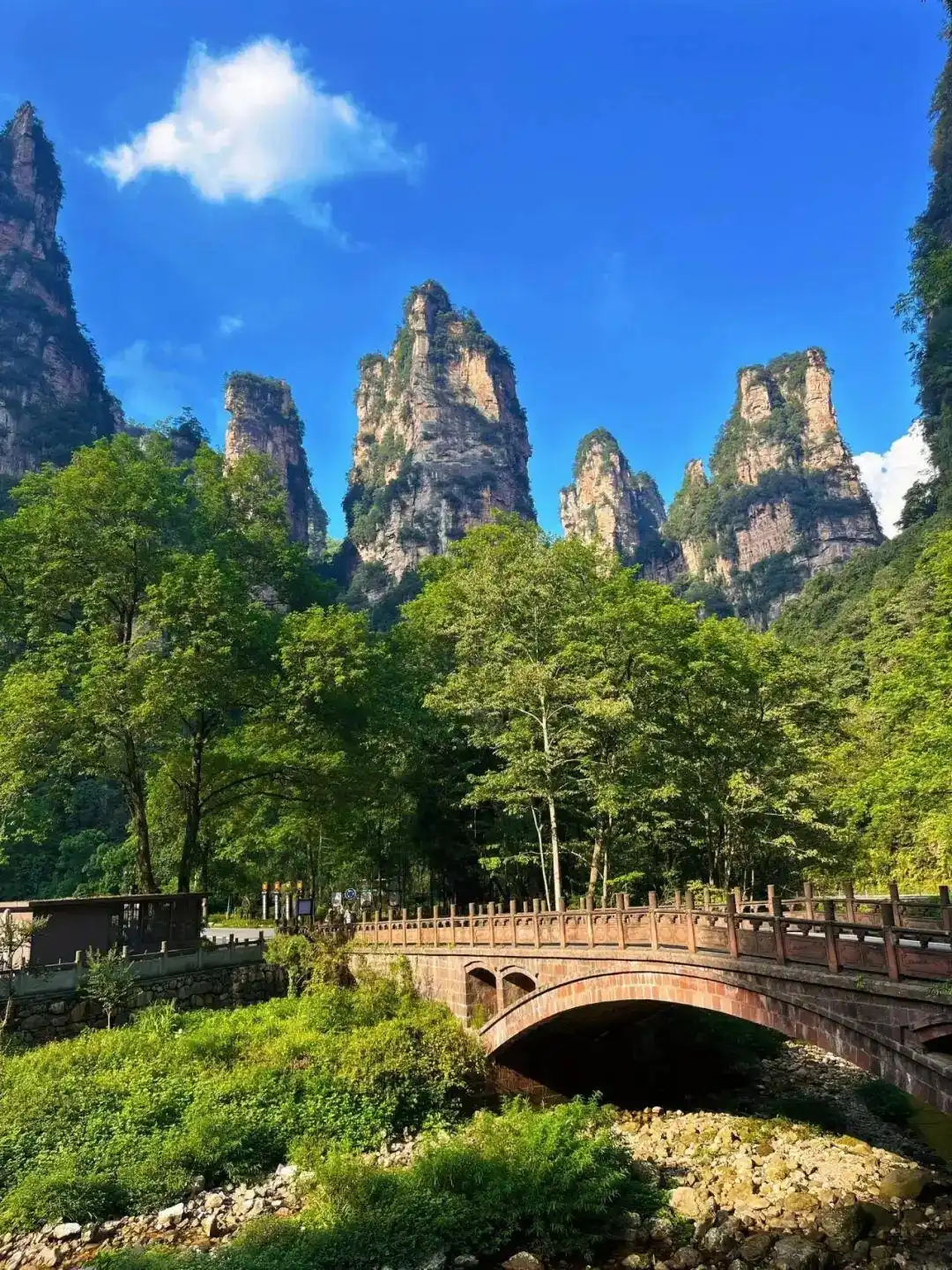 保姆级攻略！7-8月张家界旅游，必去景点推荐，第一次去也不迷路