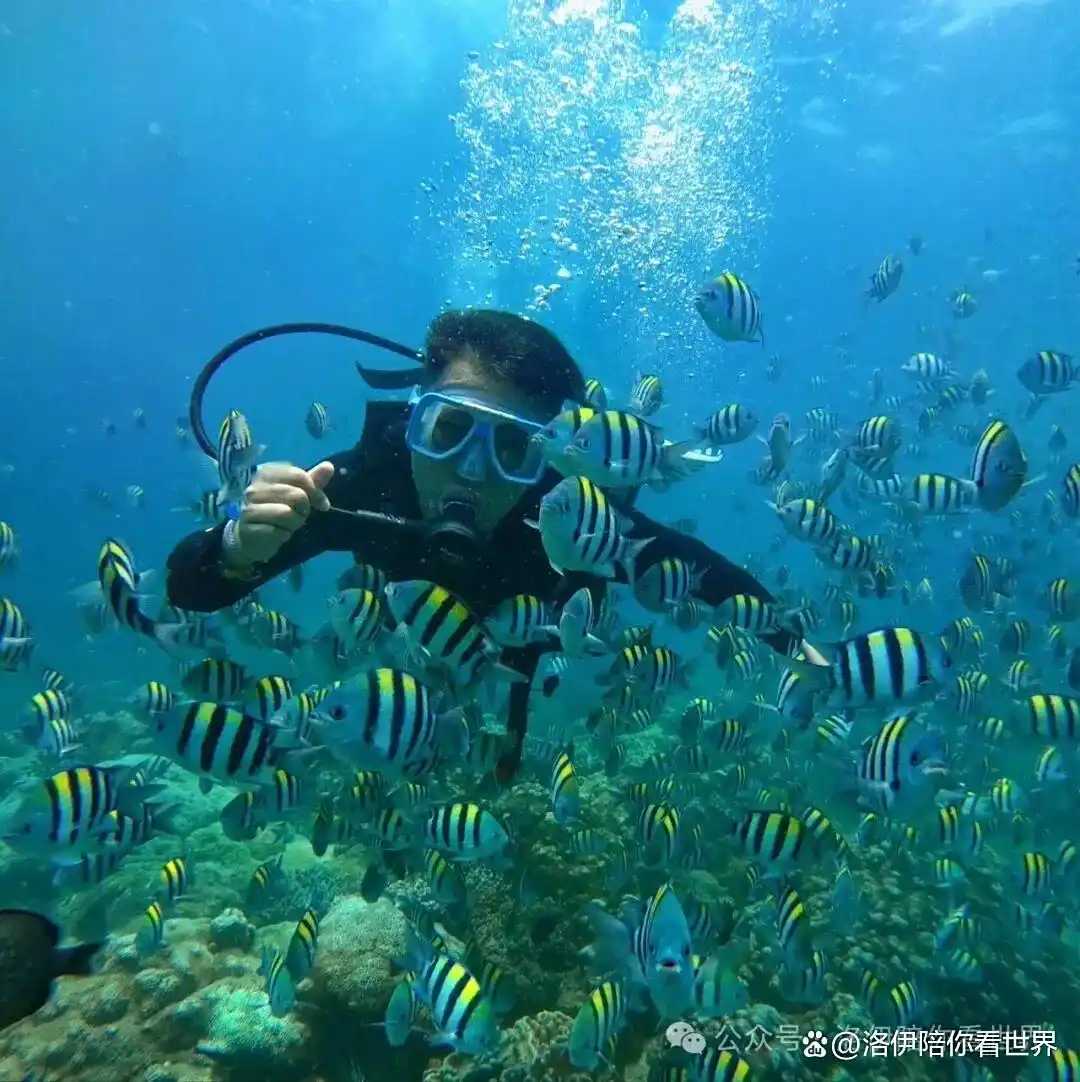 自驾海南的十大忠告：从轮渡抢票到海鲜防坑，本地人私藏的避雷手册来了！
