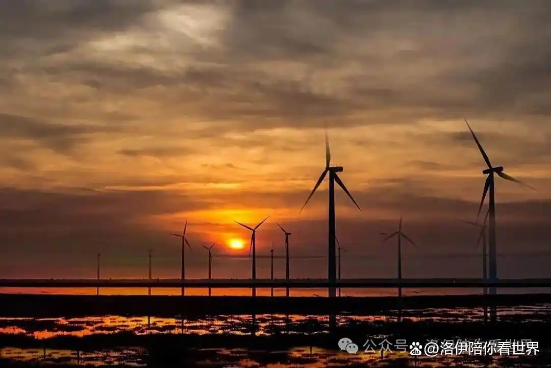 自驾海南的十大忠告：从轮渡抢票到海鲜防坑，本地人私藏的避雷手册来了！