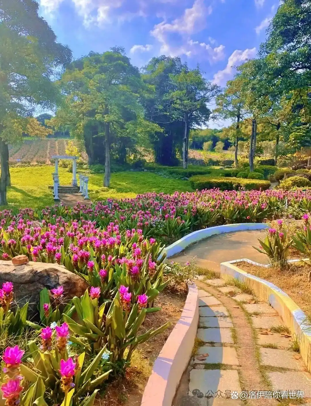 东莞最宜居的三个镇：在繁华与烟火里，找到生活的诗与远方