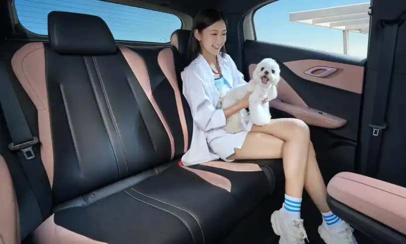 购车划算花费少，接娃神器大 PK！5 款热门小型车深度对比，哪款最值得家长入手？