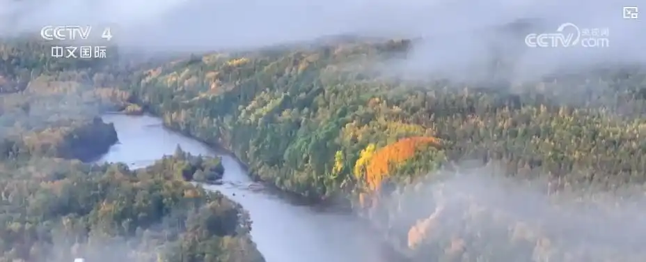 十一假期旅游新风向：县域游迎爆发式增长 赏秋、自驾、出境游全面开花