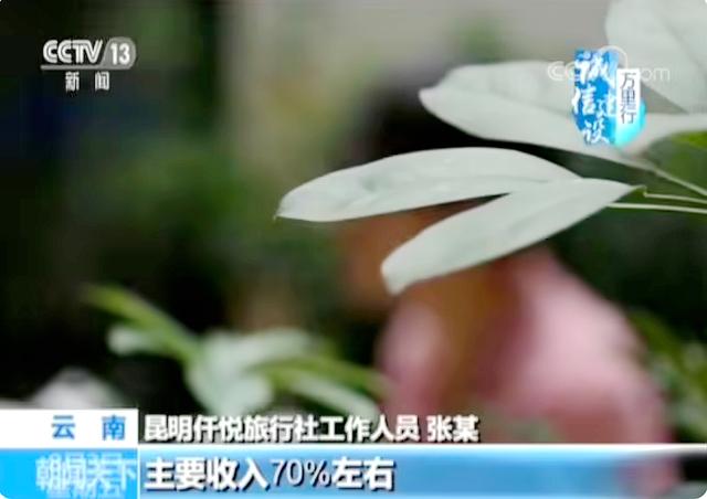 云南“低价团”背后的畸形利益链：导游返点最高达85%