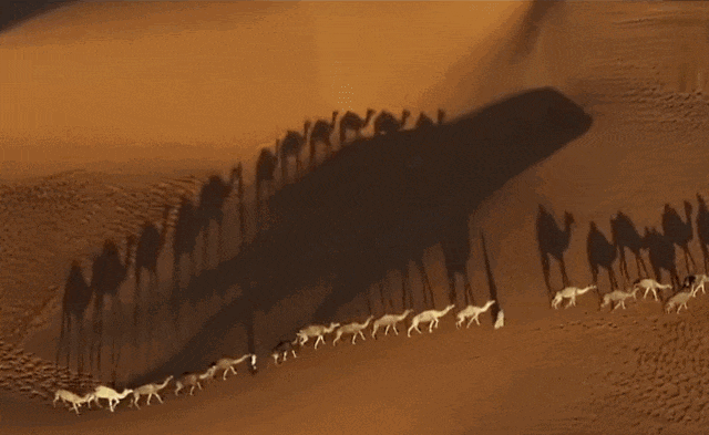 丝路秋韵 安全随行｜河西走廊自驾游攻略