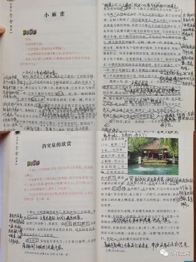 没上辅导班，五年级儿子成绩稳居前列，这12套教辅书很有用