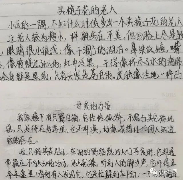 没上辅导班，五年级儿子成绩稳居前列，这12套教辅书很有用