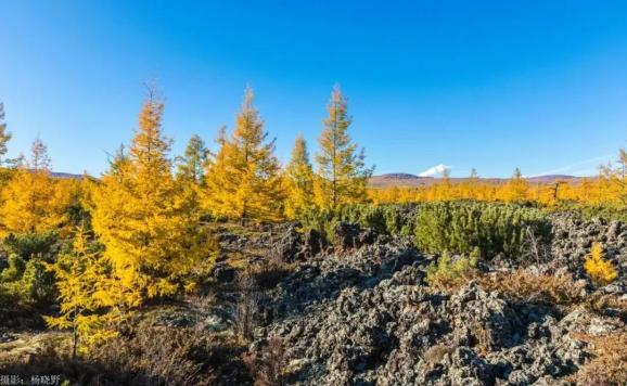 【五一游阿尔山】这个假期不远行，最火自由行线路来了！