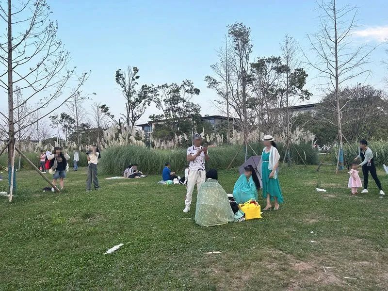 劝不住，根本劝不住！昆明又一网红景点遭“野蛮打卡”