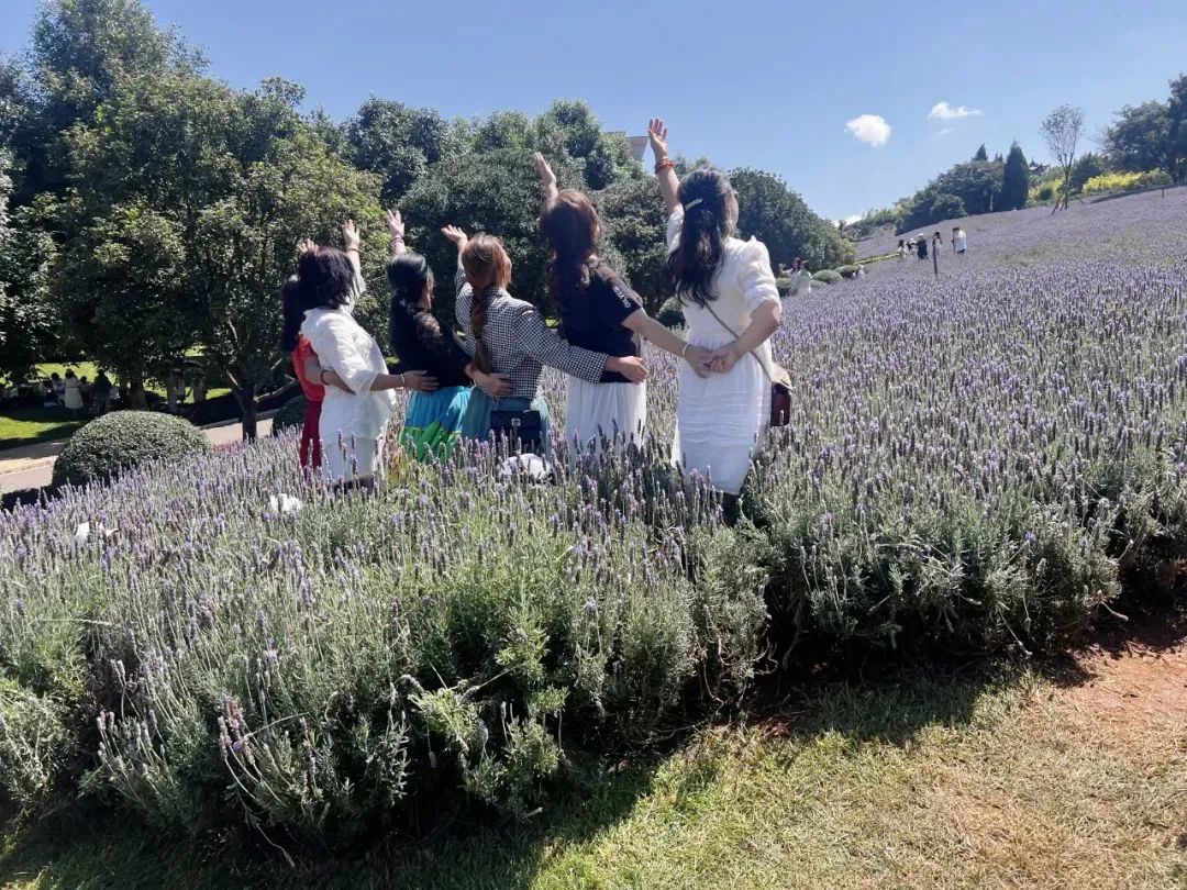 劝不住，根本劝不住！昆明又一网红景点遭“野蛮打卡”