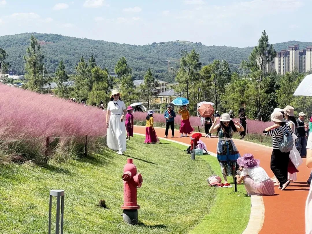 劝不住，根本劝不住！昆明又一网红景点遭“野蛮打卡”