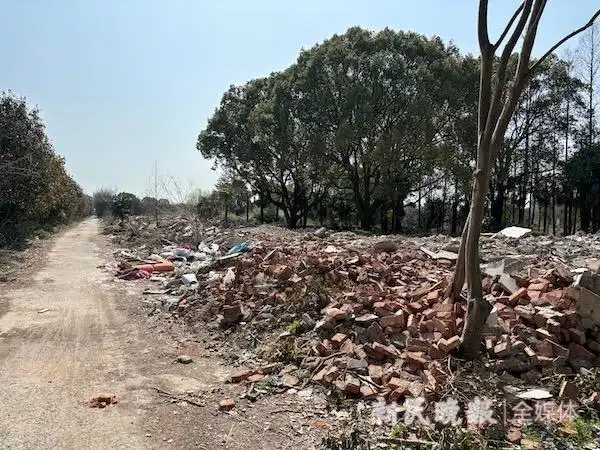 民生调查丨打卡网红“野景点”，赏“仙境”还是入险境？