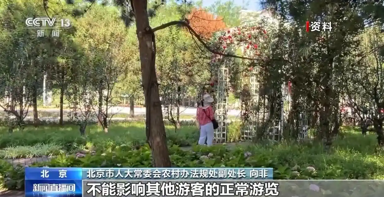 北京拟禁止占用观景点“开直播”影响他人行为