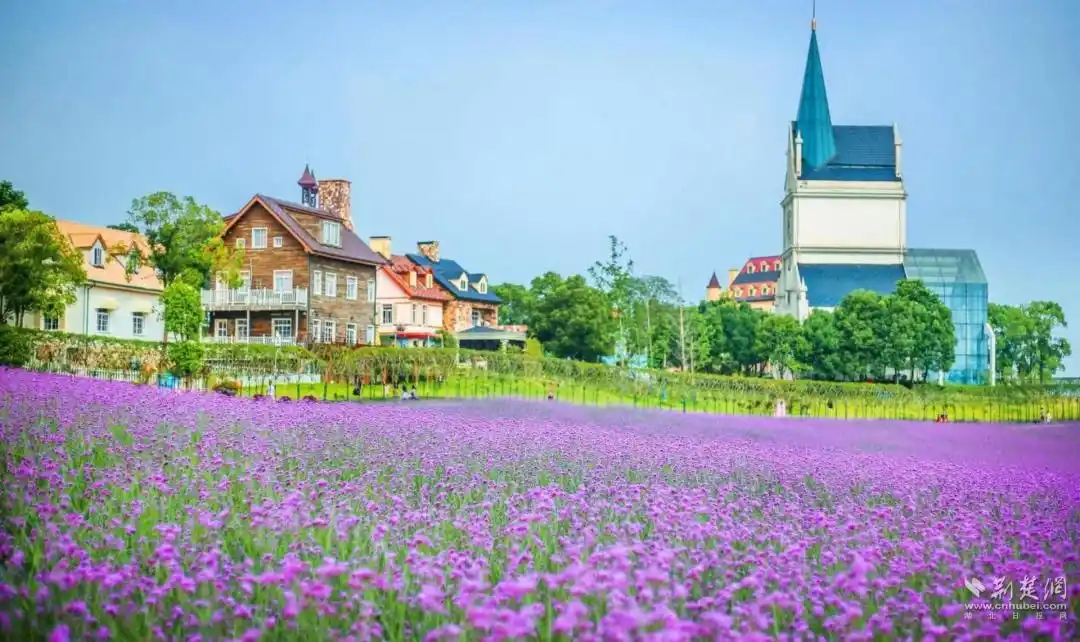 武汉国庆中秋畅游攻略来了，地铁公交直达东湖、江汉路、黄鹤楼、昙华林等热门景点（附线路图）