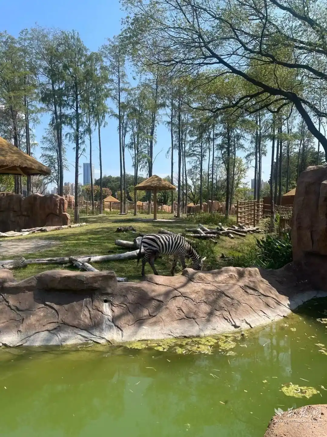 武汉国庆中秋畅游攻略来了，地铁公交直达东湖、江汉路、黄鹤楼、昙华林等热门景点（附线路图）