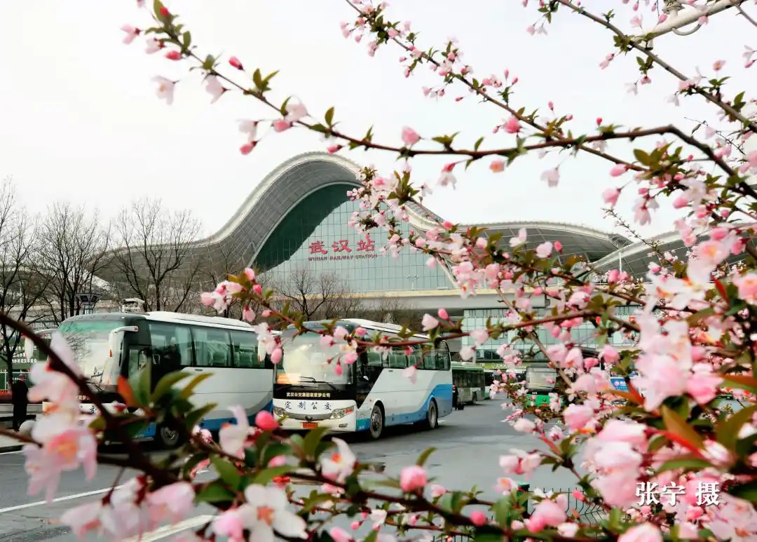 武汉国庆中秋畅游攻略来了，地铁公交直达东湖、江汉路、黄鹤楼、昙华林等热门景点（附线路图）