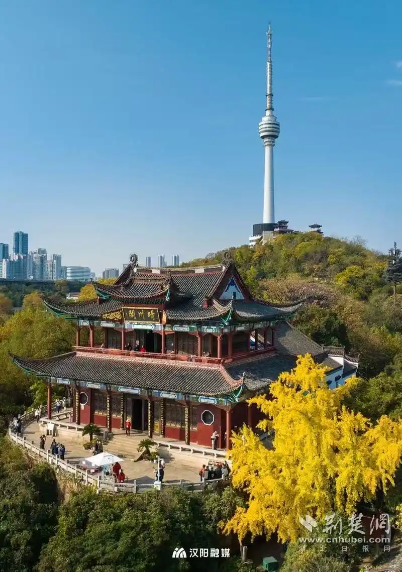 武汉国庆中秋畅游攻略来了，地铁公交直达东湖、江汉路、黄鹤楼、昙华林等热门景点（附线路图）