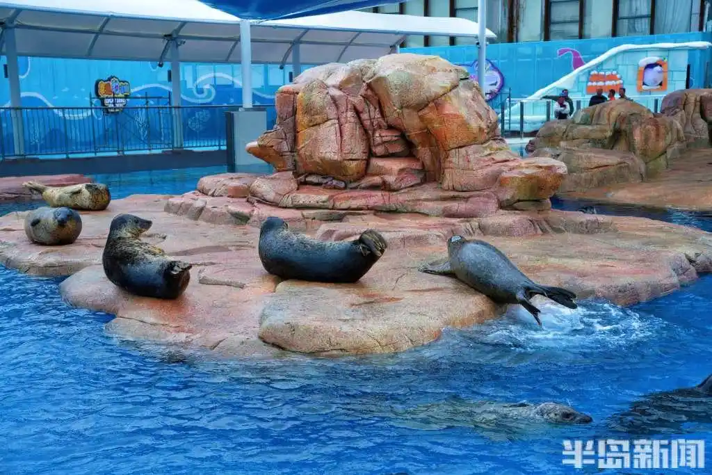 这里是青岛｜潮玩山海间，千里共明月！岛城景区景点文旅活动精彩纷呈