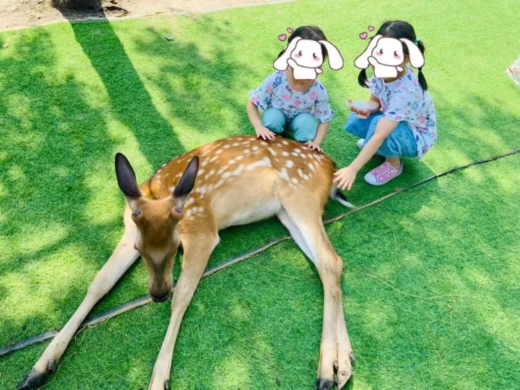 破除暑期带娃“鄙视链”，我做了份超实用的出游手册