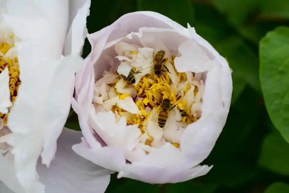 盘点济南网红打卡地，这么多网红景点，济南能成为网红城市吗