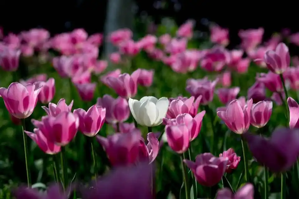 盘点济南网红打卡地，这么多网红景点，济南能成为网红城市吗