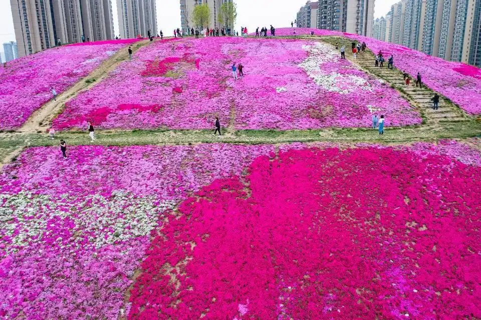 盘点济南网红打卡地，这么多网红景点，济南能成为网红城市吗