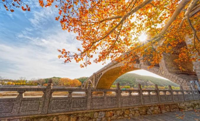 八种色彩，领略龙门石窟全年之美！