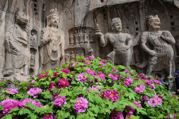 八种色彩，领略龙门石窟全年之美！