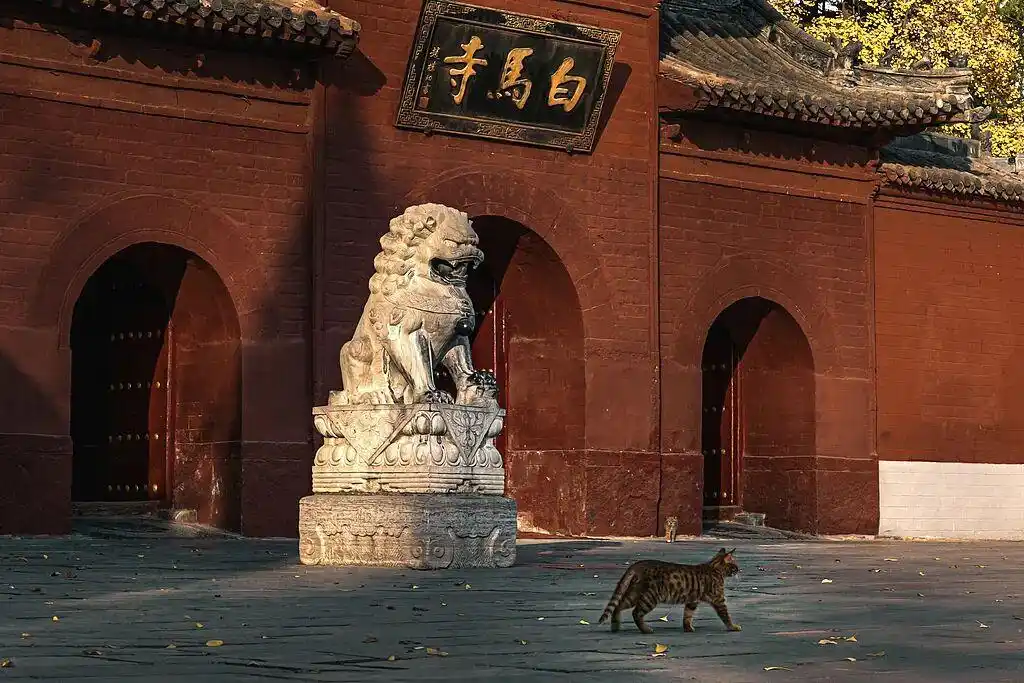 嗨翻双节！河南最IN游玩攻略来了，吃货玩咖请集合！