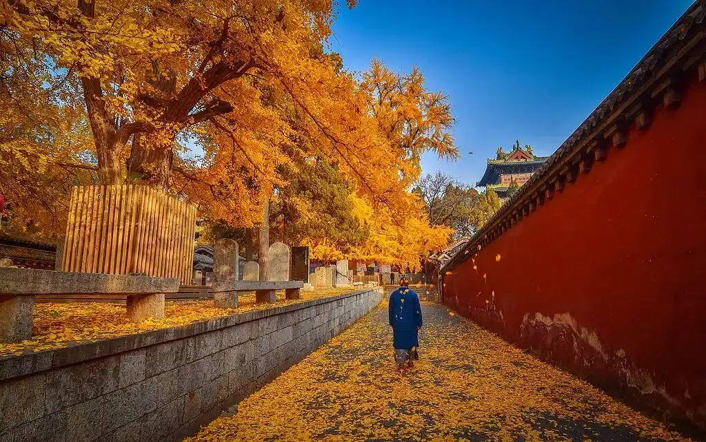 嗨翻双节！河南最IN游玩攻略来了，吃货玩咖请集合！