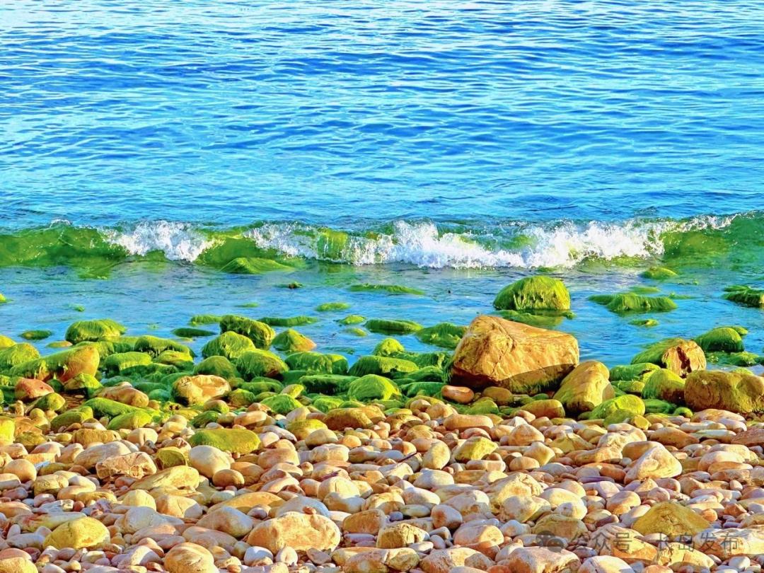 【精品旅游线路】黄渤海五岛深度游