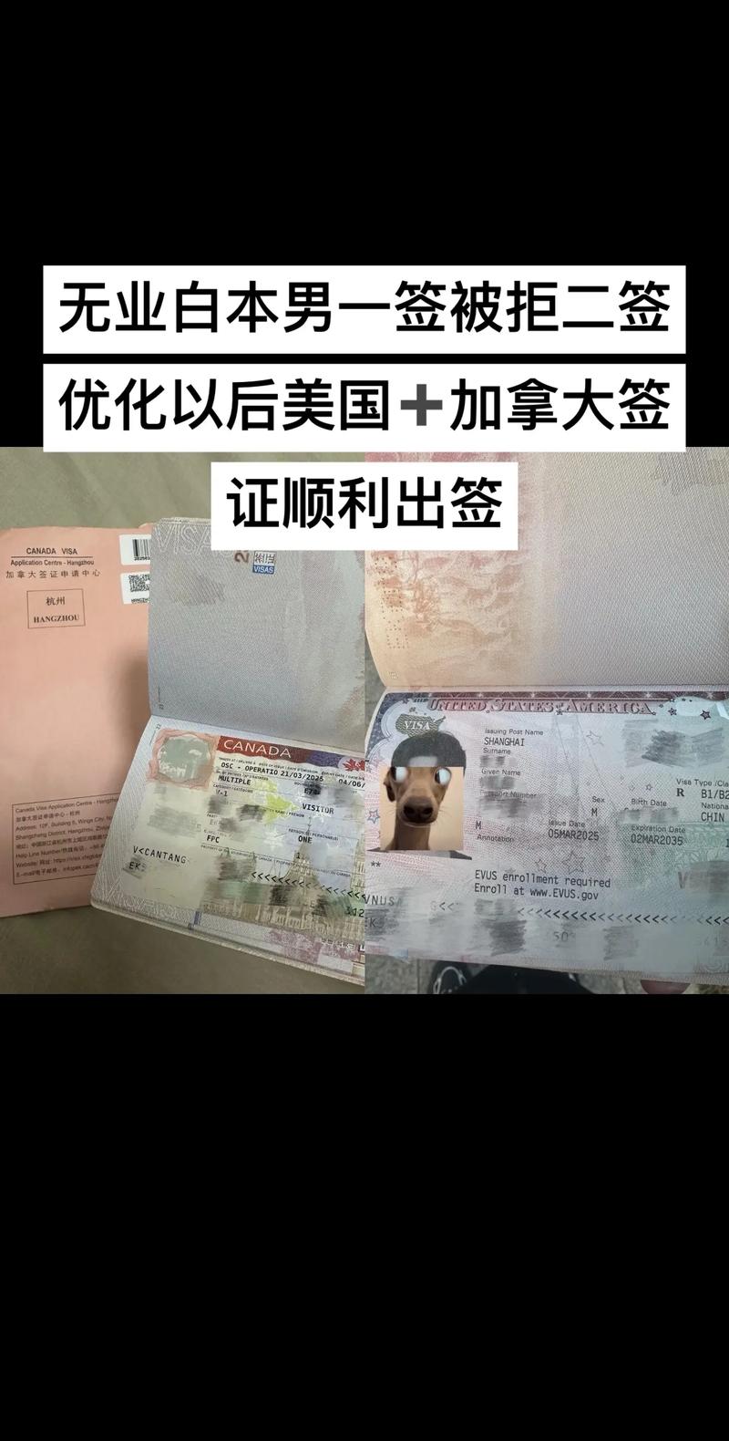 美国限制“人才签证”，加拿大想接？