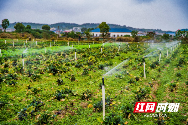 伟人故里的深度节水答卷 ——湘潭市全面推进节水型社会建设纪实