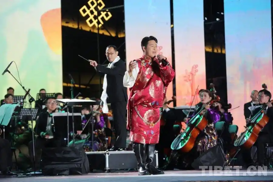 2025年林芝雅鲁藏布生态文化旅游节开幕 音乐盛宴点亮“雪域江南”