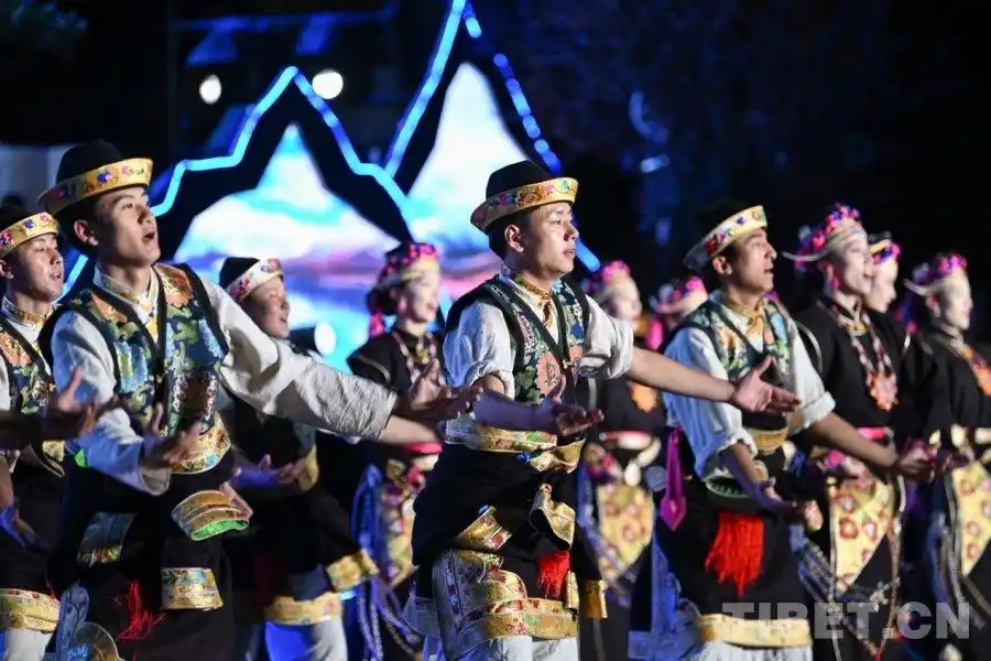 2025年林芝雅鲁藏布生态文化旅游节开幕 音乐盛宴点亮“雪域江南”