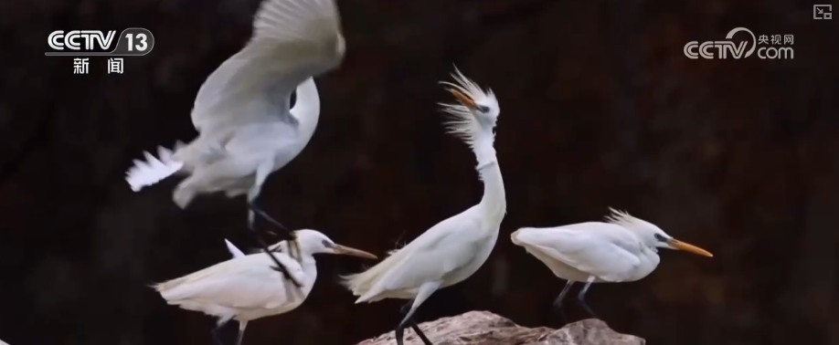 新赛道、新场景激活海岛旅游新活力 这份暑期深度玩海攻略请收好↓