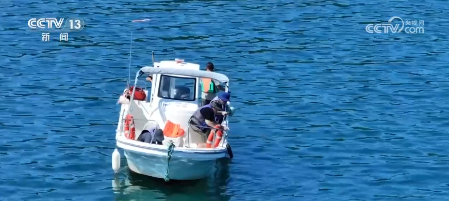 新赛道、新场景激活海岛旅游新活力 这份暑期深度玩海攻略请收好↓