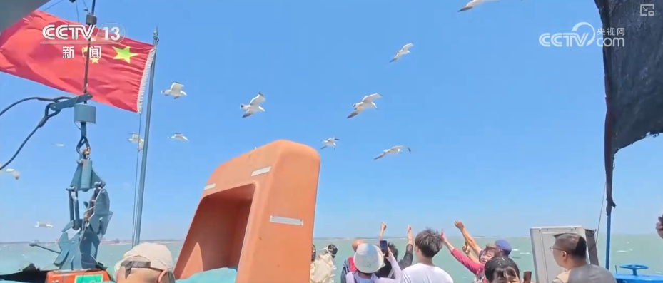 新赛道、新场景激活海岛旅游新活力 这份暑期深度玩海攻略请收好↓